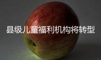 县级儿童福利机构将转型！未来工作重点在哪里	？