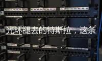 光环褪去的特斯拉，这条“鲶鱼”如何面对自主围攻	？