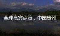 快排公司十年历程，霸屏兔 seo 的崛起与坚守