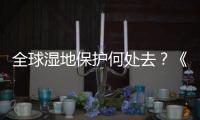 全球湿地保护何处去�？《湿地公约》科技委员会主席这么说