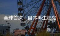 快排公司十年历程，霸屏兔 seo 的崛起与坚守