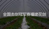 快排公司十年历程，霸屏兔 seo 的崛起与坚守