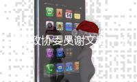 全国政协委员谢文敏：法院判决无法执行
	，相当于法律“白条”
