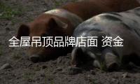 全屋吊顶品牌店面 资金和智慧不可缺