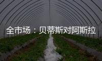 快排公司十年历程，霸屏兔 seo 的崛起与坚守