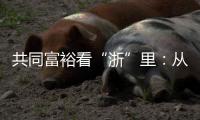 共同富裕看“浙”里：从脱贫到共富 “浙”里有一份秘笈待领取