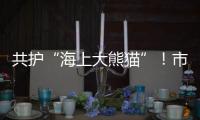 共护“海上大熊猫”！市民积极参与中华白海豚保护宣传日活动