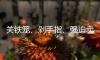 快排公司十年历程，霸屏兔 seo 的崛起与坚守