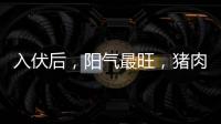 入伏后，阳气最旺，猪肉鱼肉靠边站，多吃8样，清热又解暑