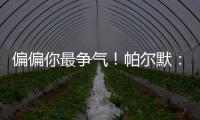 快排公司十年历程，霸屏兔 seo 的崛起与坚守