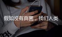 假如没有真菌
，我们人类还能存活于地球吗？