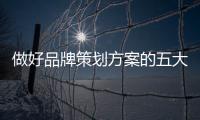 快排公司十年历程，霸屏兔 seo 的崛起与坚守