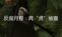 反腐月报
：两“虎”被查，三“虎”受处分