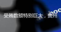 受贿数额特别巨大，贵州省政协原副主席陈晏被提起公诉