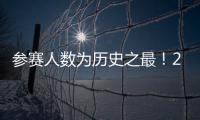 快排公司十年历程，霸屏兔 seo 的崛起与坚守