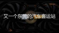 快排公司十年历程，霸屏兔 seo 的崛起与坚守