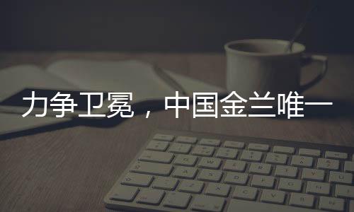 再逐步考虑半决赛和决赛