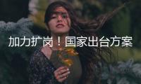 加力扩岗	
！国家出台方案支持重点群体就业
