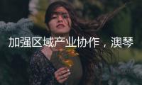 快排公司十年历程，霸屏兔 seo 的崛起与坚守