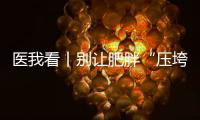 快排公司十年历程，霸屏兔 seo 的崛起与坚守
