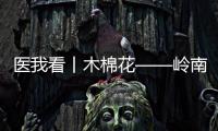 医我看丨木棉花——岭南祛湿第一花