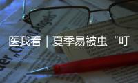 医我看｜夏季易被虫“叮”上	？别慌，这样处理才对