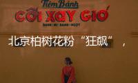 快排公司十年历程，霸屏兔 seo 的崛起与坚守
