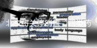 快排公司十年历程，霸屏兔 seo 的崛起与坚守