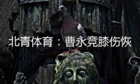 快排公司十年历程，霸屏兔 seo 的崛起与坚守