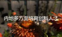 快排公司十年历程，霸屏兔 seo 的崛起与坚守
