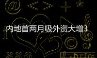 快排公司十年历程，霸屏兔 seo 的崛起与坚守