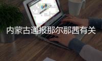 内蒙古通报那尔那茜有关核查情况
：涉嫌高考报名材料造假