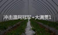 冲击温网冠军+大满贯100胜！斯瓦泰克生涯大满贯战绩99胜20负