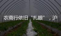 农商行依旧“扎眼”�，沪农商行摘“罚金之王”｜金融合规榜