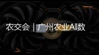 农交会｜广州农业AI数字人矩阵小科普：如何选购优质广东丝苗米？