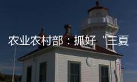 农业农村部：抓好“三夏”生产 努力夺取全年粮食丰收
