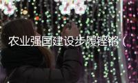 农业强国建设步履铿锵（奋勇争先，决战决胜“十四五”）
