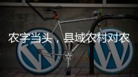 农字当头
，县域农村对农行的贡献度有多高？丨透视银行业年报⑥
