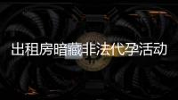 快排公司十年历程，霸屏兔 seo 的崛起与坚守