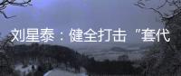 刘星泰�
：健全打击“套代购”走私长效机制