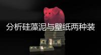分析硅藻泥与壁纸两种装饰材料的特点
