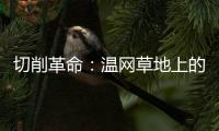 切削革命：温网草地上的隐秘武器
