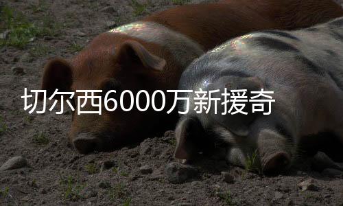 佩德罗不得不立刻结束休假