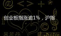 快排公司十年历程，霸屏兔 seo 的崛起与坚守