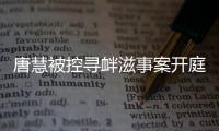 唐慧被控寻衅滋事案开庭：当地曾成立77人专案组