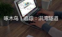 啄木鸟丨追踪：洪湾隧道破损路面已修复
，未来将进行综合性提升