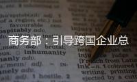 商务部：引导跨国企业总部聚海南