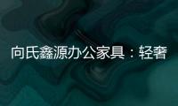向氏鑫源办公家具�	：轻奢高级，演绎城市办公新美学