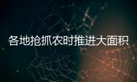 各地抢抓农时推进大面积单产提升，持续夯实夏粮丰收基础