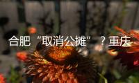 合肥“取消公摊”	？重庆已经试了21年，香港更彻底